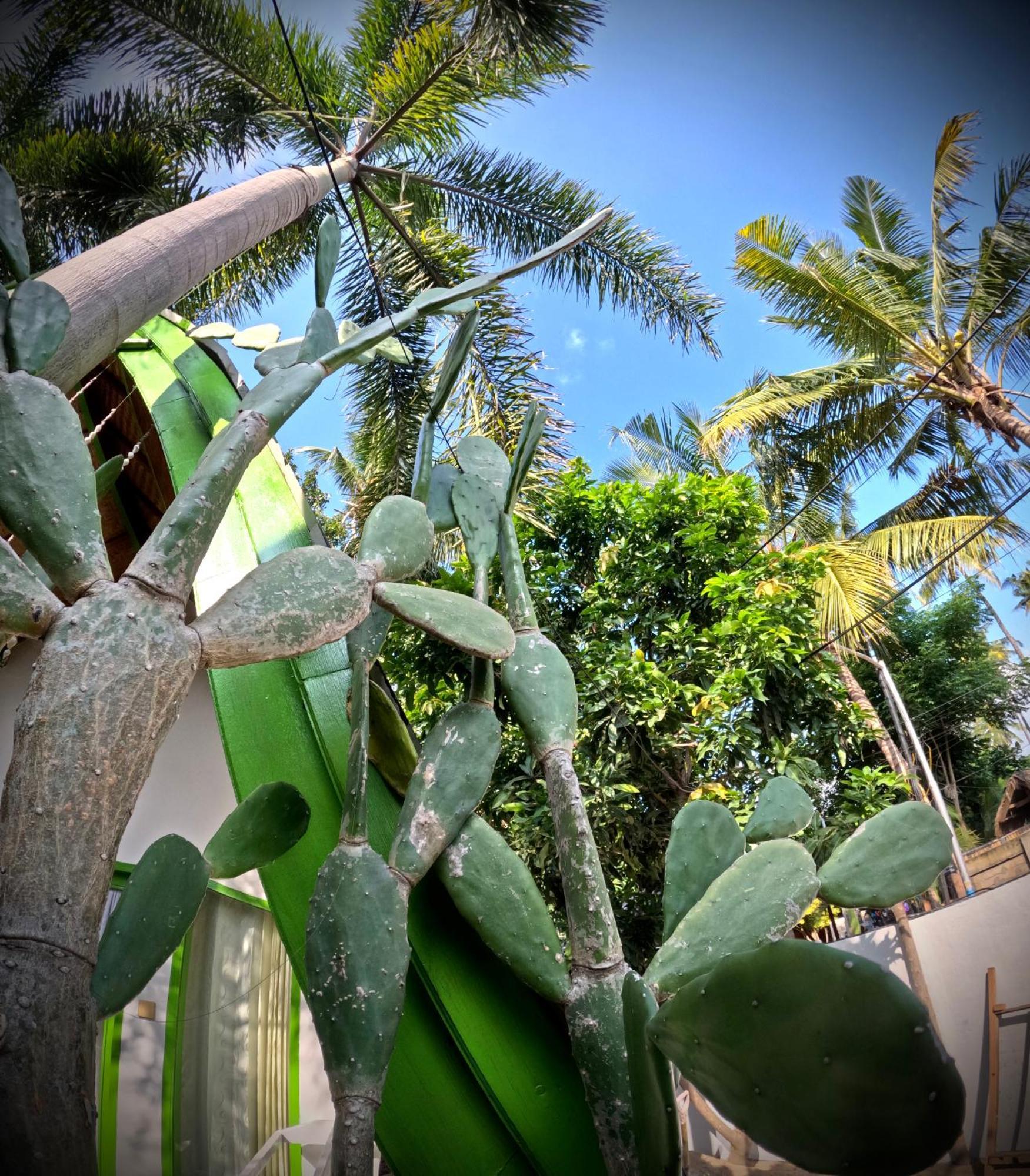 Kaktus Bungalow 4 Gili Air Bagian luar foto